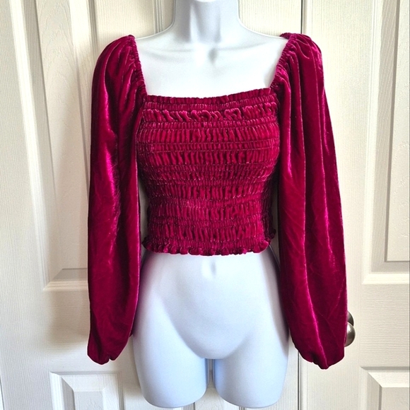 Anthropologie Raspberry Magenta Deep Pink Velvet Smocked Long Sleeve Top XXS - Picture 4 of 14